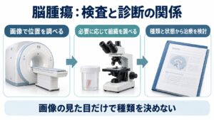 脳腫瘍：検査と診断の関係を整理した図。