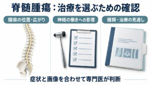 脊髄腫瘍：治療を選ぶための確認を整理した図。
