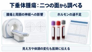 下垂体腫瘍：二つの面から調べるを整理した図。